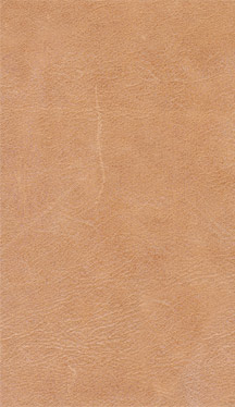 LE530